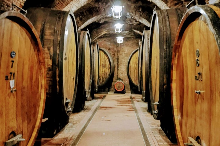 Underground cellar with large wooden barrels and brick arches, dim lighting.