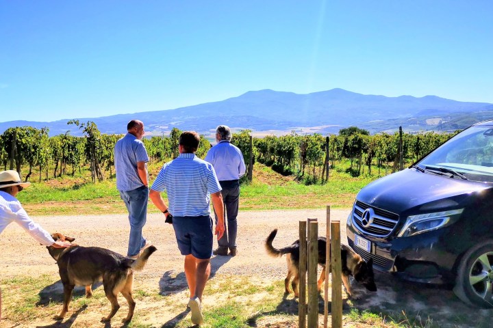 People walking with dogs near a vineyard, with a black van and mountains in the background.